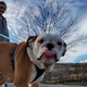 Foto: Virginia State Parks